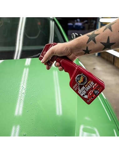 MEGUIAR'S Smooth Surface Clay Kit