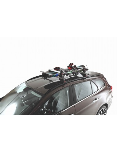 Portaesquís Aluski & Board 4 Fabbri...