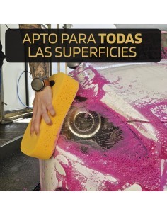 Esponja Billionaire para el... 2