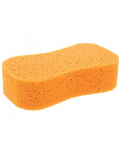 Esponja