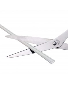 Bandas transparentes... 2