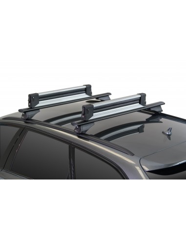 Barras porta esquís Menabo Yelo